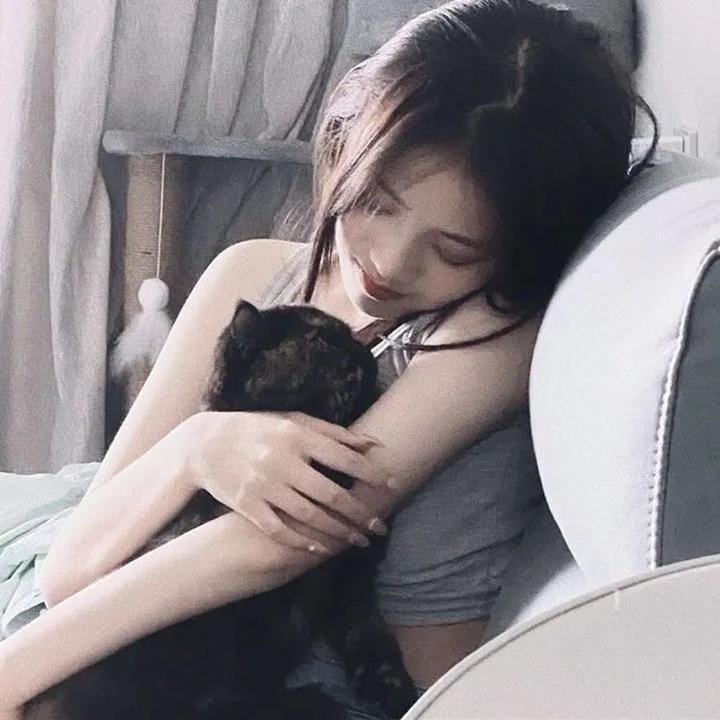 国土安全第七季